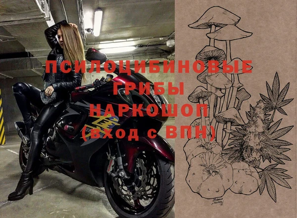 стафф Алзамай