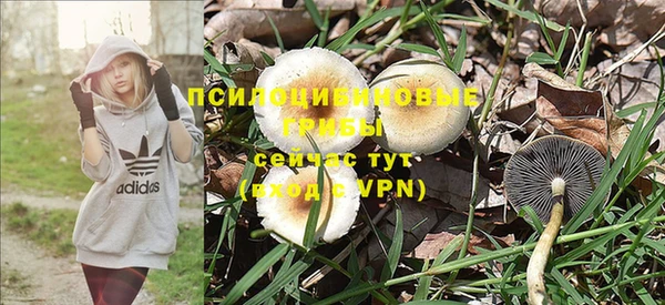 стафф Алзамай