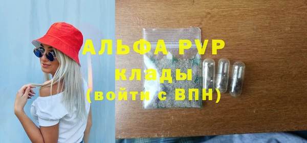 стафф Алзамай